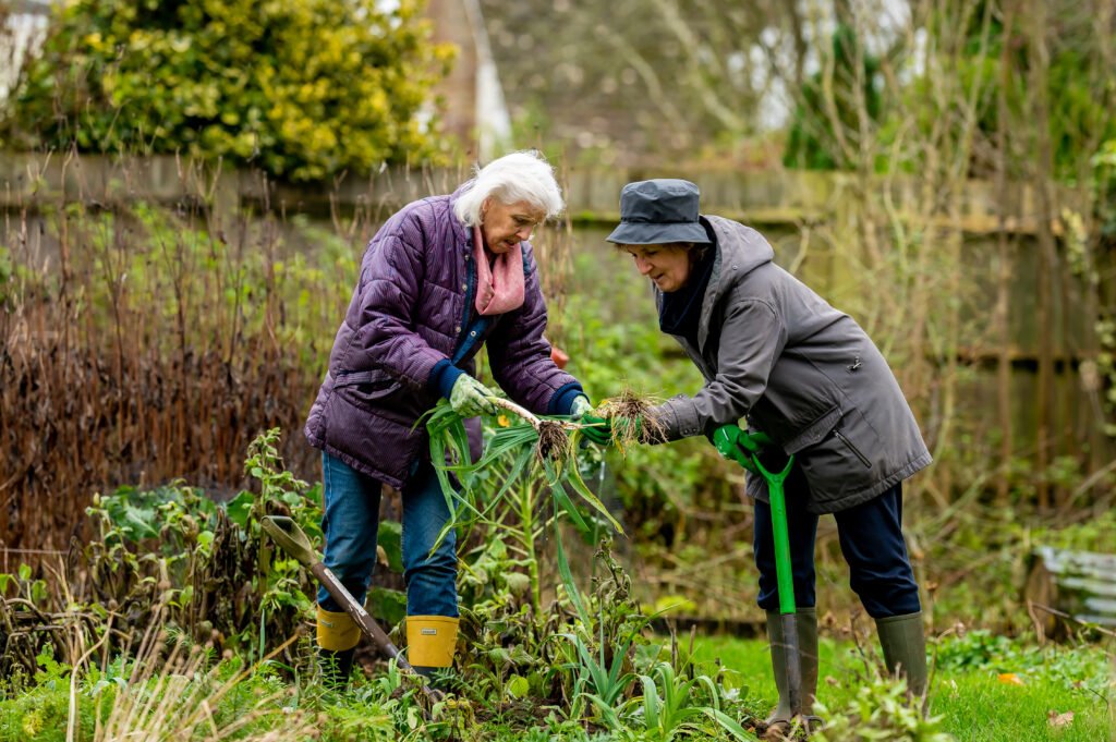 two women volunteering to help clean up their community's green areas two women volunteering to help clean up their community's green areas